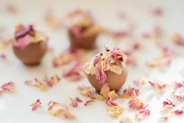 カジノ ファンタスティック スピンズ Android/iOS アプリ